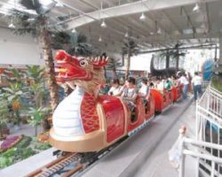 Dragon Wagon Roller Coasters for Sale
