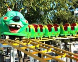 small roller coaster for sale