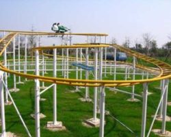 Wild Mouse Roller Coasters for Sale